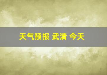 天气预报 武清 今天